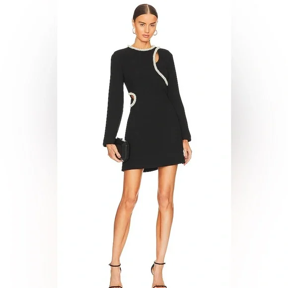 Jonathan Simkhai | Dresses | Jonathan Simkhai Katharine Diamanteembroidered  Minidress